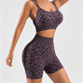 Women's Leopard Print Workout Sets 2 Piece Outfits Crop Tank Tops and Shorts Sports Yoga Gym Tracksuit (Color: Wine Red, size: S)